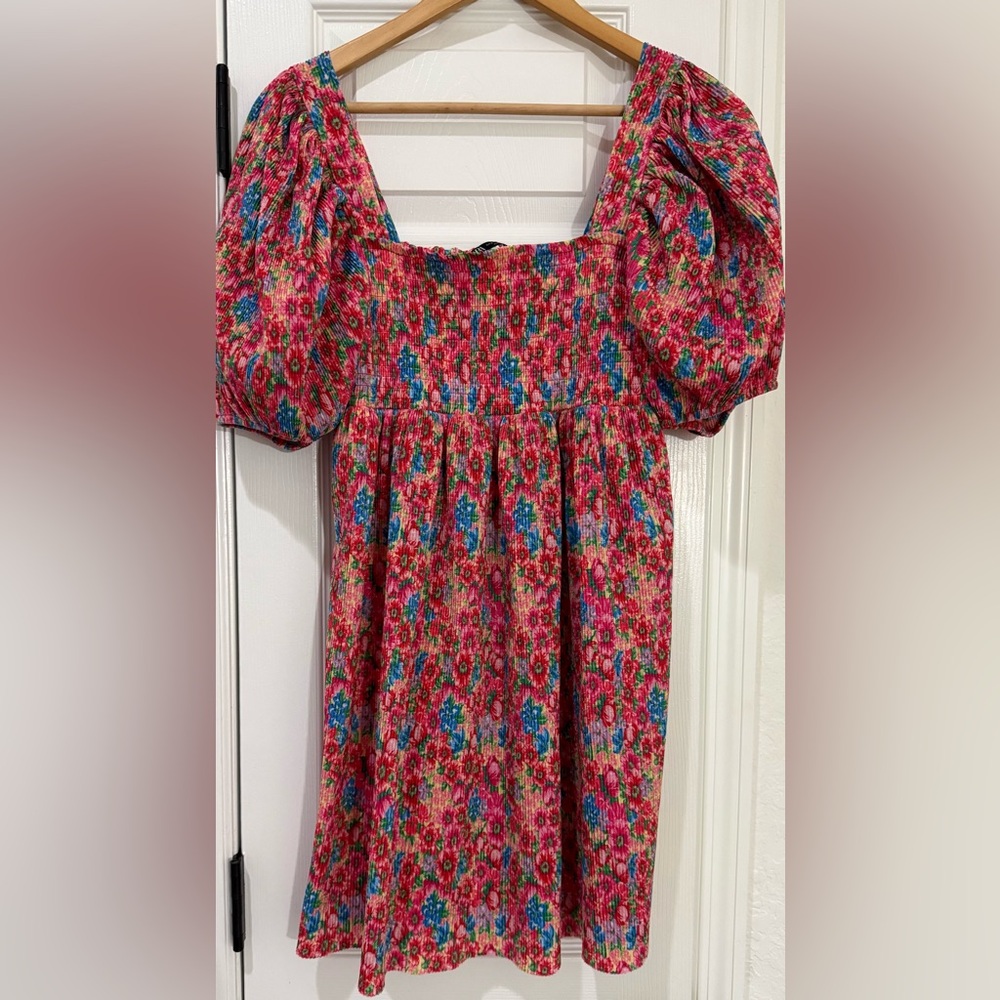 Zara Pink and Blue Floral Dress